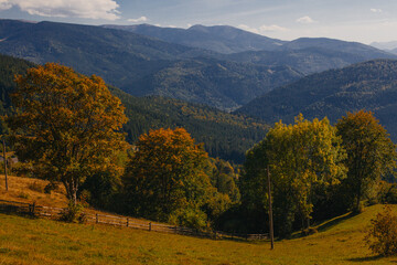 Fototapeta premium Beautiful early autumn in Carpathian mountains, Ukraine