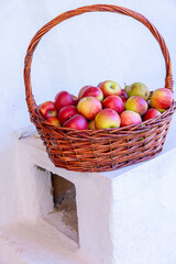 Basket Full of Fresh Red Apples Harvested from Orchard in Autumn Season