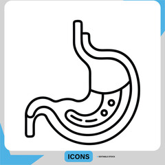 Stomach Icon in Line Art Style for Medical and Health Illustrations, Anatomy Stomach Diagram Human Stomach Line Art 