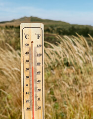 Wooden thermometer with red measuring liquid on mountain background 