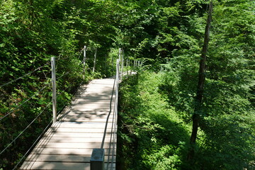 Obraz premium Steg im Wald am Eistobel im Allgäu