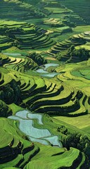 Aerial View of Lush Green Rice Terraces in a Hilly Valley.