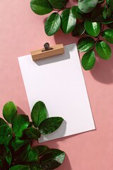 Minimalist flat lay of a blank paper clipboard with green plant leaves on a pink textured surface.