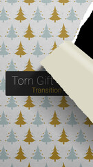 Torn Gift Wrap Paper Transition Vertical