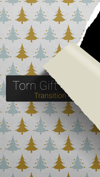 Torn Gift Wrap Paper Transition Vertical