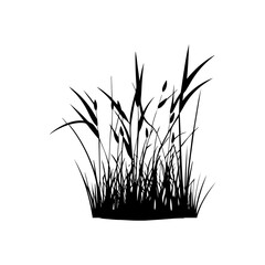 Monochrome image of plant. Isolated vector image. Floral design element