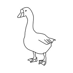 Obraz premium Flat duck icon with white background