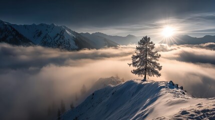 Lone Tree Amidst the Clouds - A Winter Mountainscape.