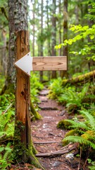 Fototapeta premium Wooden trail marker in a lush forest