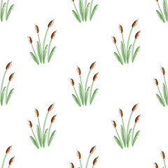 seamless pattern of cattail plant