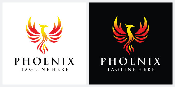 flying bird phoenix logo design, fire bird eagle falcon hawk silhouette graphic vector 
