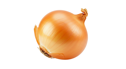 A single whole yellow onion with a dry papery skin and a small stem on top.