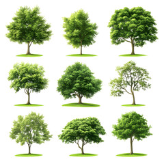 Fototapeta premium Vibrant Green Trees Collection Isolated on Transparent Background for Nature Designs