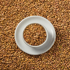 “Natural Herbal Remedies & Healing Spices for Wellness”