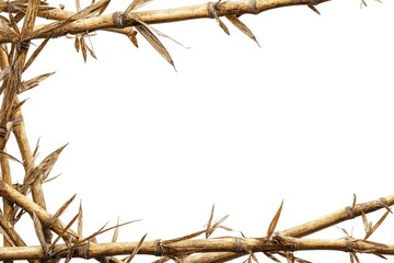 Dry bamboo branches form a frame against a white background