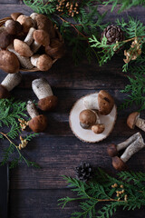 Basket with edible white mushrooms. Boletus edulis. Collect porcini in forest