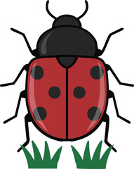vector illustration of a ladybug