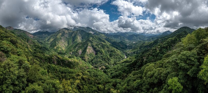 Panoramic view of a lush mountain valley. Dense forest covers the slopes and valleys, with peaks and ridges in the background. A partly cloudy sky above - Powered by Adobe