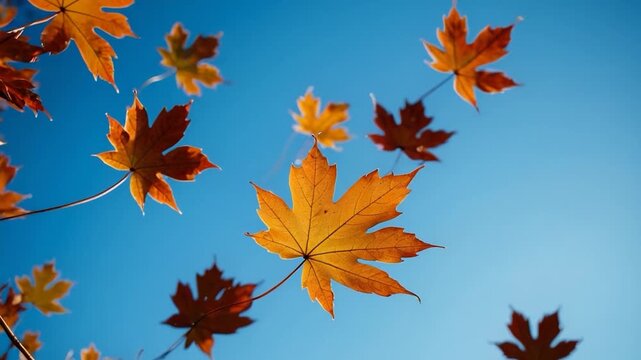 A detailed view of a single leaf on a tree branch, highlighting its texture and shape