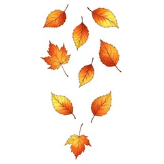 Obraz premium A collection of vibrant autumn leaves in various shapes and shades cascade gracefully against a clean backdrop, showcasing the beauty and transition of the season.