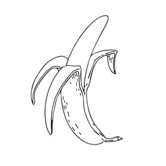 Half peeled banana. Vector. Doodle illustration. Outline drawing of the fruit. Design element for product packaging, cosmetics, menus, holidays