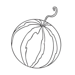 Outline drawing of a round watermelon isolated on a white background. Vector. Doodle illustration. Design element for product packaging, cosmetics, menus, holidays