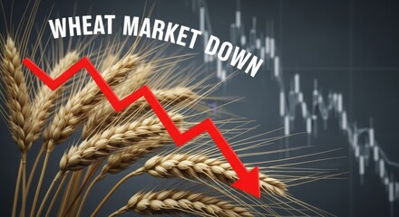 Wheat market downturn shows potential global food crisis with a dramatic red arrow and stock chart decline, signaling economic challenge and financial risk