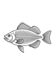 Vintage engraving style illustration of a fish skeleton