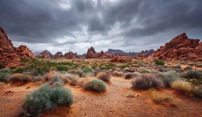 Obraz premium A vast desert landscape, dramatic red rock formations under a stormy sky, and low-lying desert scrub