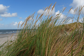 Die Nordseeinsel Vlieland