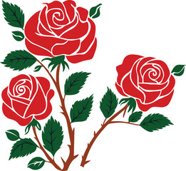 Rose flower vector image