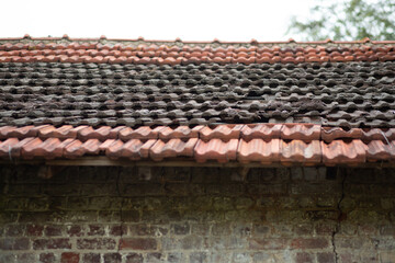 Weathered clay roof tiles on an abandoned rustic house with visible cracks.