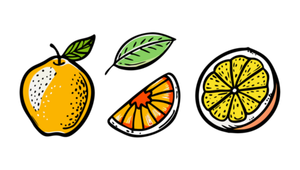 Lemon Doodle Fruit Hand Drawn Vector Illustrations Set