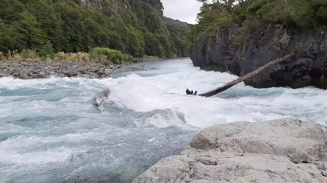 Saltos del R&iacute;o Petrohu&eacute;, Regi&oacute;n de Los Lagos, comuna de Puerto Varas., Chile, Parque Nacional Vicente P&eacute;rez Rosales. Enero 2023