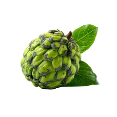 Fototapeta premium Sweet Sugar Apple Delight