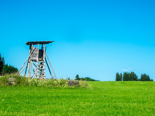Hunters stand on a pasture in Bavaria