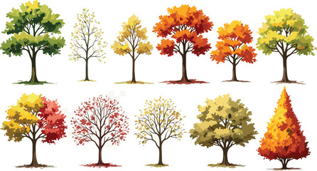 Vibrant Autumn Trees A Collection of Fall Foliage Illustrations