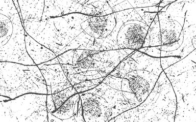 Obraz premium Texture of old surface on black background with white scratches.