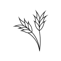 Obraz premium Two wheat stalks outline drawing simple art on transparent background