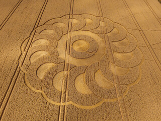 Aerial view of a mysterious, intricate, geometric crop art, crop circle formation in a wheat field near Lyme Regis, Devon, England, UK 