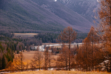Autumn landscape in Altai mountains with forest and valley in Siberia, Russia