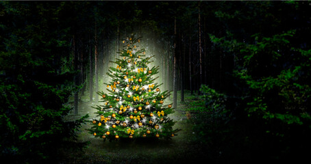 Leuchtender Weihnachtsbaum in einem dunklen Wald