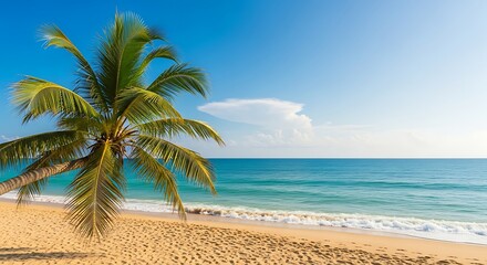 Obraz premium Tropical beach paradise with a palm tree, turquoise sea and clear blue sky
