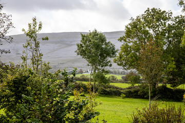 Irish landscape