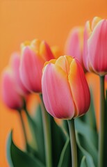 Naklejka premium Pink Tulips Bloom Against a Bright Orange Background in a Vibrant Floral Arrangement.