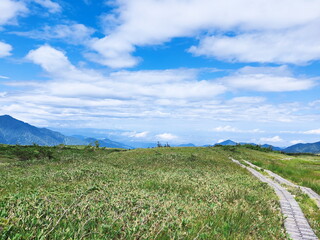 立山弥陀ヶ原の湿原に敷かれた木道を捉えた風景写真。なだらかな湿原の先に山々が連なり、夏の青空に大きな白い雲が広がる開放的な景色が広がっています。