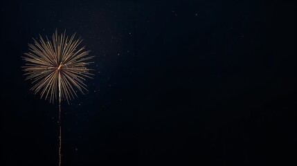 Fototapeta premium Symmetric golden firework explosion on dark sky with gradient tones