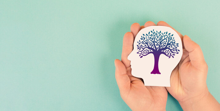 Mind, colorful tree growing, mental health, positive attitude and inspiration, creative thinking brain, personal development, self esteem and healing