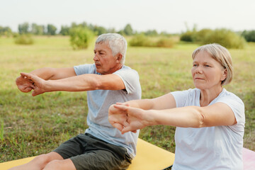 Fototapeta premium Two older adults engage in stretching exercises on mats in a peaceful park, enjoying the warmth of a sunny day together