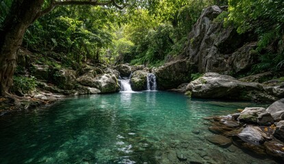 Fototapeta premium Lush, tranquil pool in a jungle setting